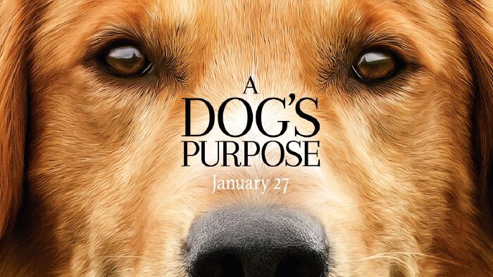 Top 9 best movies about dogs