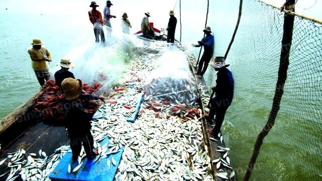 Boosting aquaculture to improve value of aquatic products