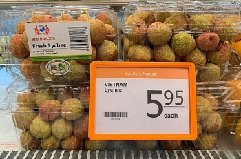China pledges to create favorable conditions for Bac Giang lychees consumption