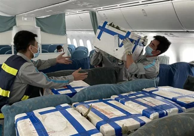 CAAV asks Transport Ministry for consultancy over cargo airline project