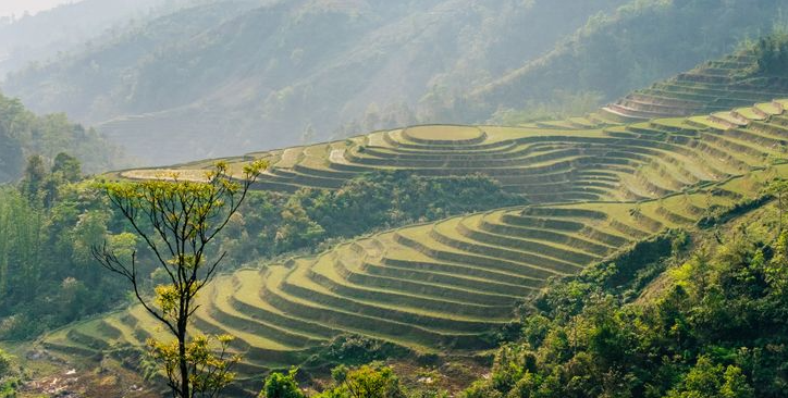 Vietnam through lens of Japanese photographer