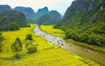 Water lily harvest shot by Vietnamese photographer wins international ...