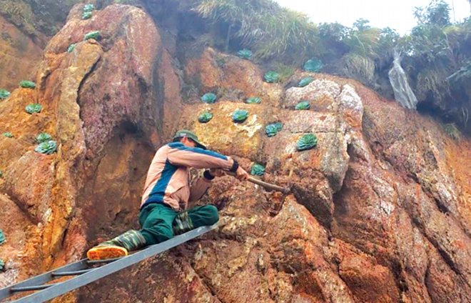 Looking back on the journey to conquer the roof of Indochina
