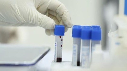 Vietnam reports 50 new domestic COVID-19 cases
