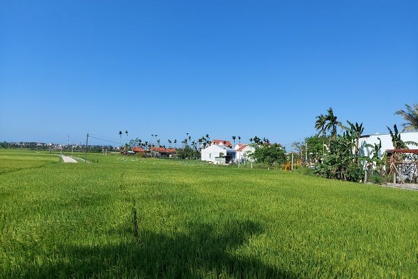Quang Nam maps out tourism development for next five years, adapting to Covid-19