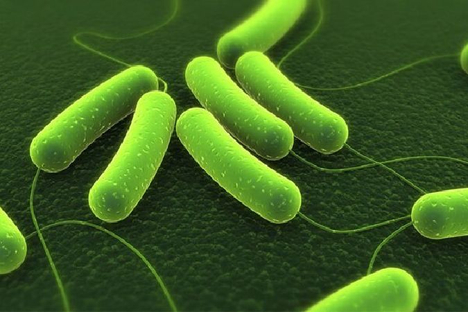 Top 10 causes of stomach cancer you need to know