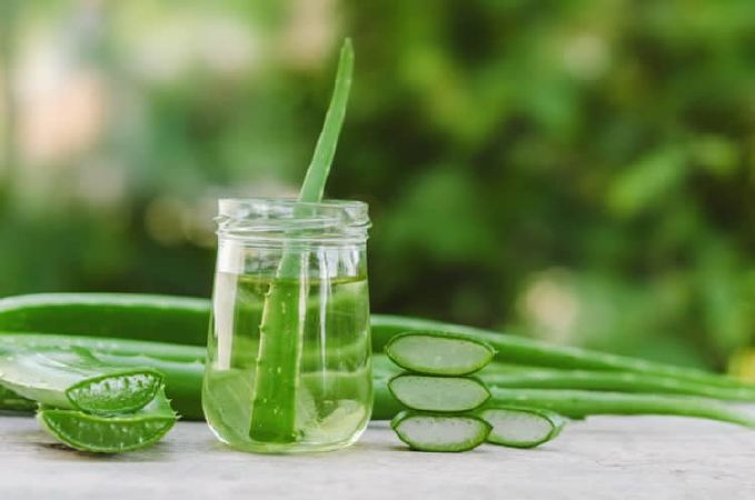 Top 10 miraculous uses of aloe vera to health and beauty