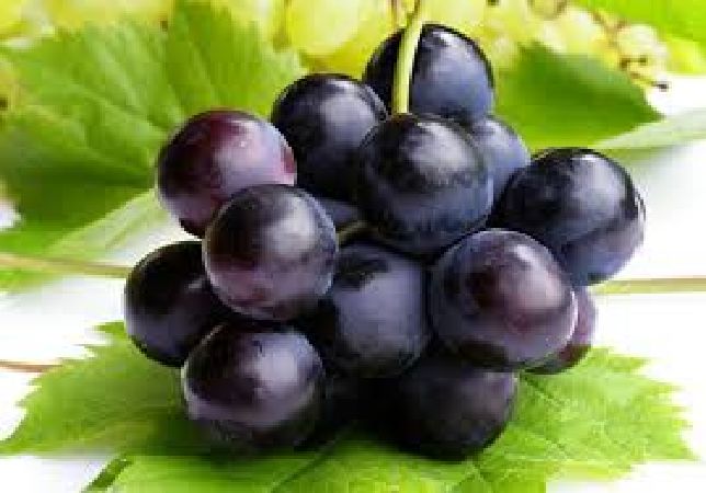 is-grapes-good-for-diet-designstomorrow