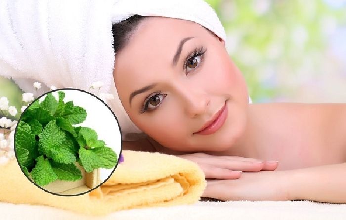 Top 10 uses of peppermint