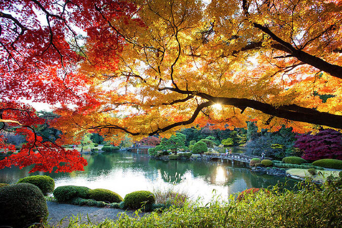 Top 12 points of interest to visit in Tokyo Japan » Breaking News