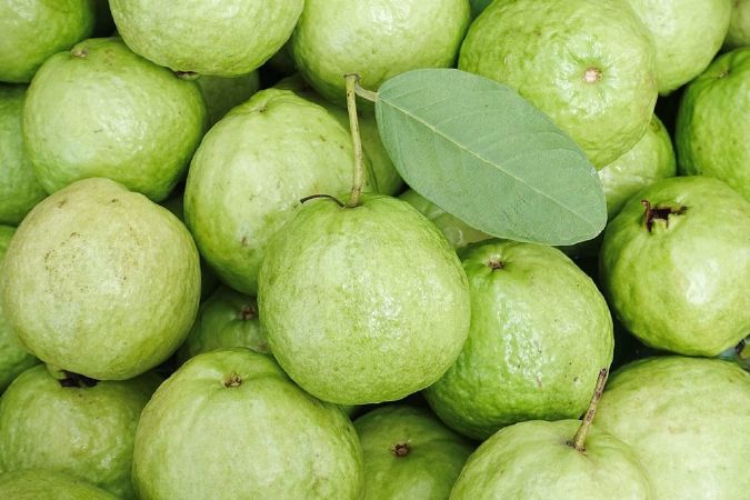 Top 9 wonderful uses of guava for pregnant women