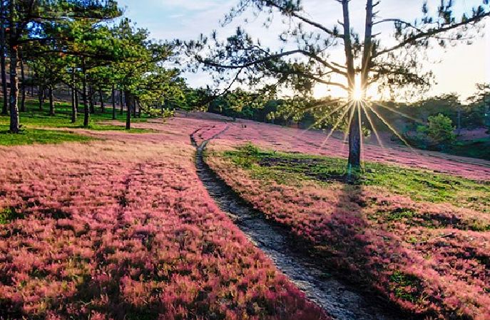 Top 10 beautiful tourist destinations in Vietnam in the fall