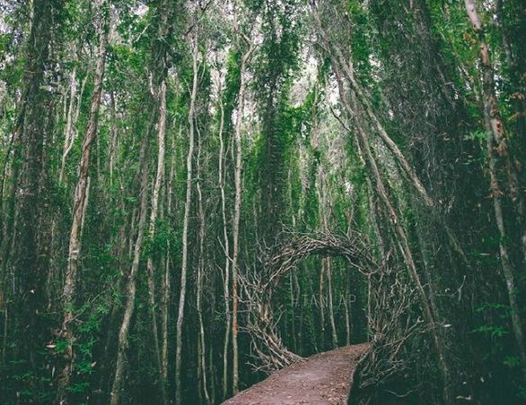 Top 10 tourist Attractions near Ho Chi Minh City