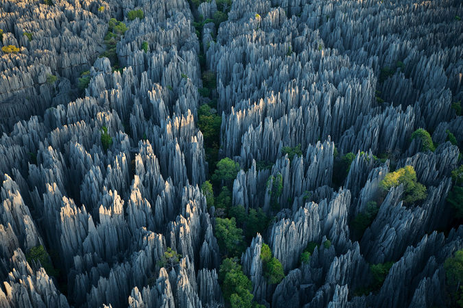 Top 11 most beautiful forests in the world