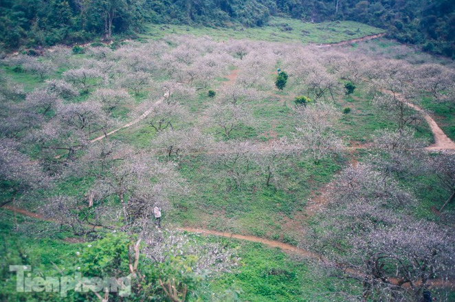 Top 3 places in Moc Chau to beat the summer heat