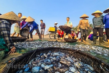 Top 5 most beautiful fishing villages in Nha Trang