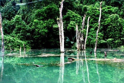Top ten most stunning national parks in Vietnam