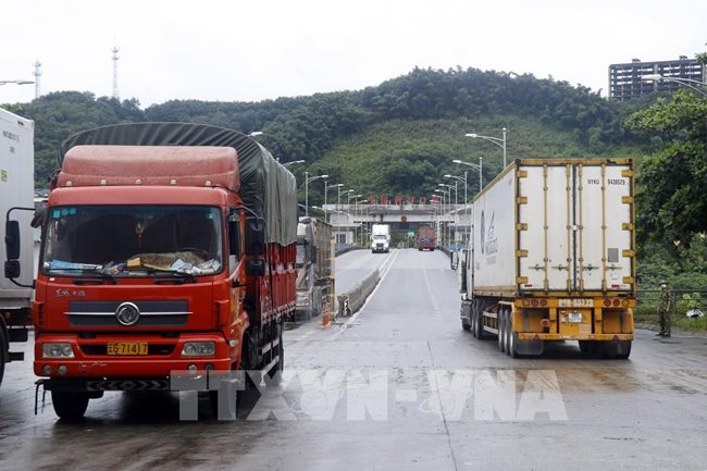 Vaccine passports proposed for drivers transporting farm produce through border gates