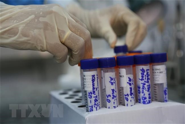 Vietnam reports 127 new Covid-19 cases
