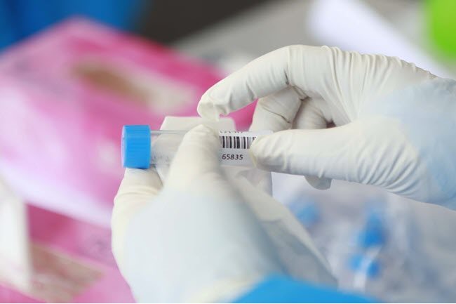 Vietnam’s Covid-19 infections surge by 240