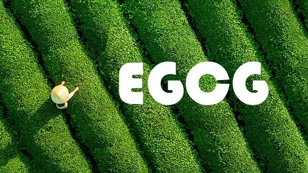 Zero Degree Green Tea a secret to cooling the body