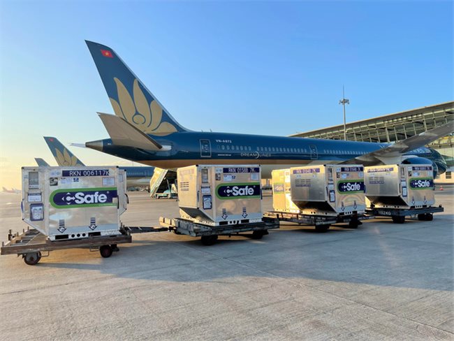 600,000 additional AstraZeneca vaccine doses donated by Japan arrive in Vietnam