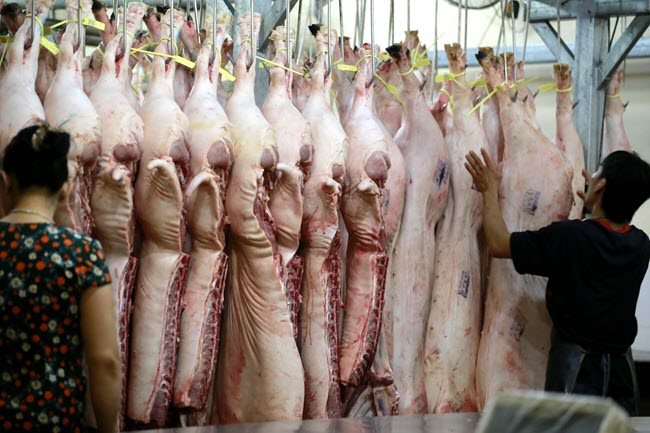 Binh Dien wholesale market suspended amid coronavirus concern