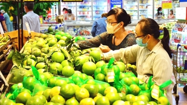 537 focal points to provide agricultural products for southern provinces connected