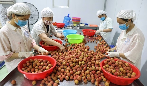 Australia provides US$2 million to strengthen trade opportunities with Vietnam
