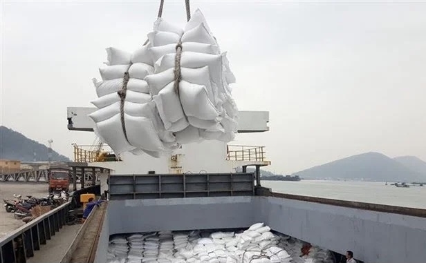 Potential for Vietnamese exports to Africa: workshop