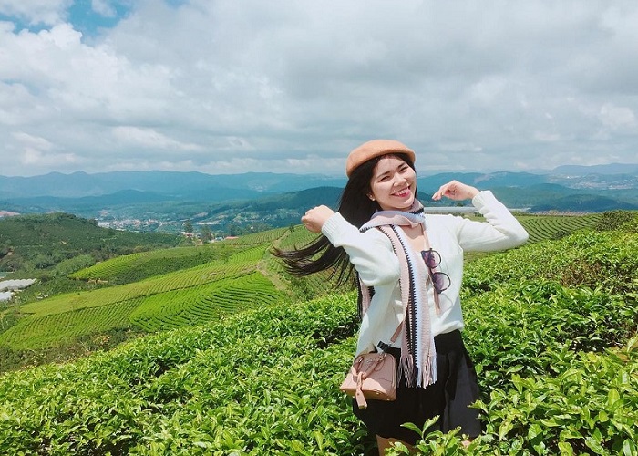 Discover the beautiful Tan Uyen tea hill like a painting in Lai Chau land