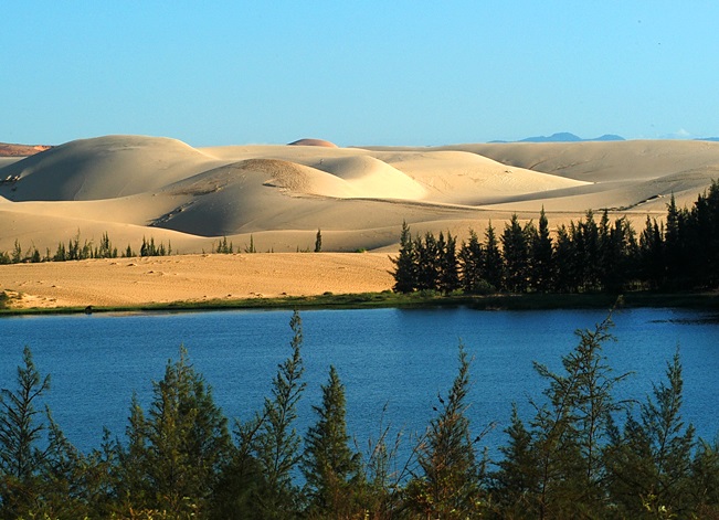 Discover the Beauty of Binh Thuan Sand Dunes