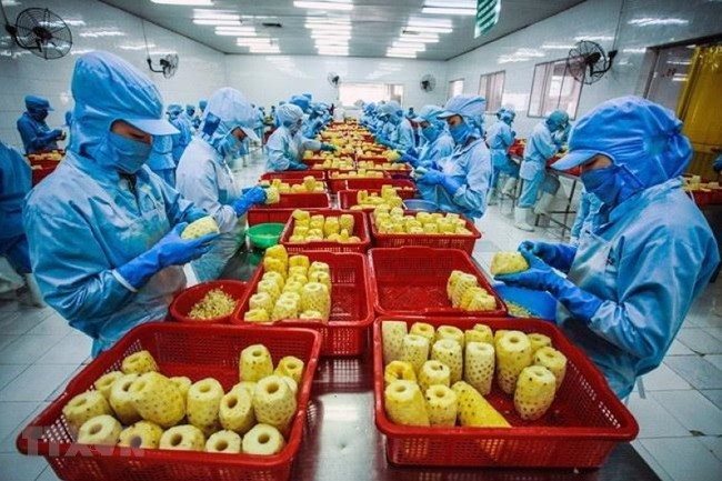 Fruit, vegetable exports rise 17.4% in H1
