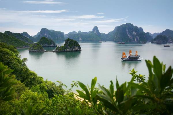 Ha Long tourism: A guide from A to Z (Updated with the latest information in 2021)