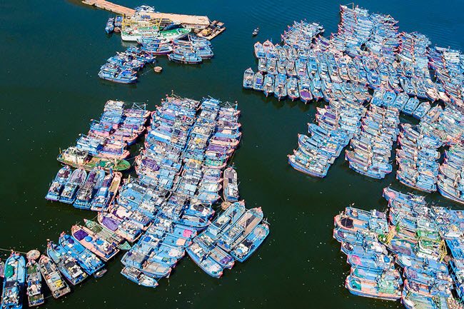Largest fishing port in Central Vietnam shuts down for Covid-19 safety