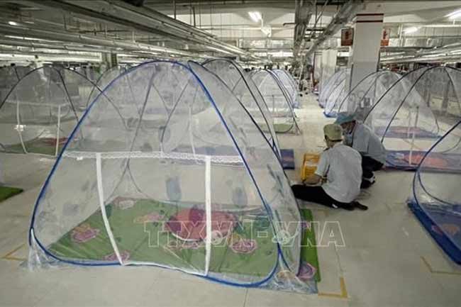 Multiple enterprises in Binh Duong, Tien Giang stop applying stay-at-work mode