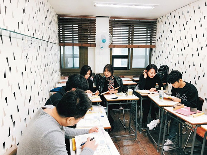 Teaching Vietnamese Abroad A Colorful Challenge