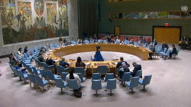 Vietnam Greatly Highlights UNAMID s Contributions