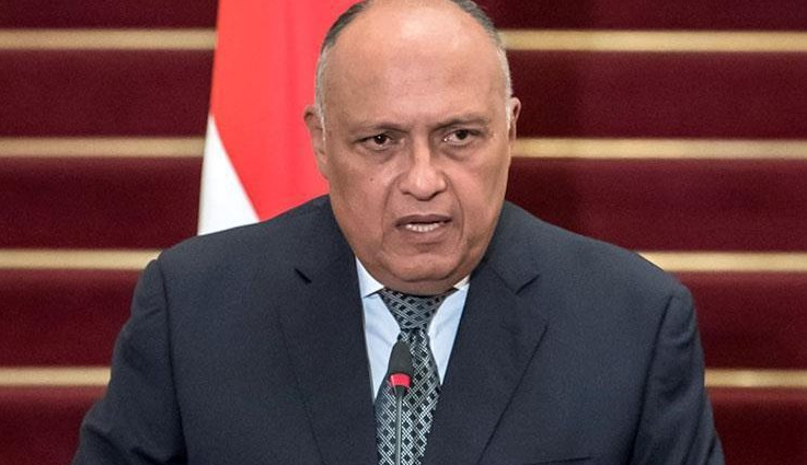 Vietnam looks to deepen ties with Egypt and Saudi Arabia