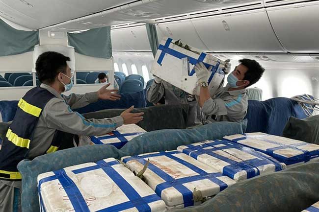 Proposal to establish cargo airline rejected