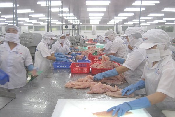 VASEP expects to earn US$12 billion worth of fishery exports in 2025