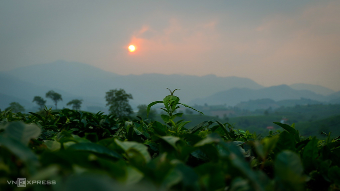Watching the sunset on Phu Tho tea hill