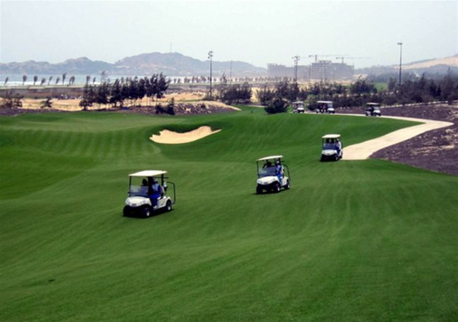 Binh Dinh officials suspended from work for playing golf amid Covid-19