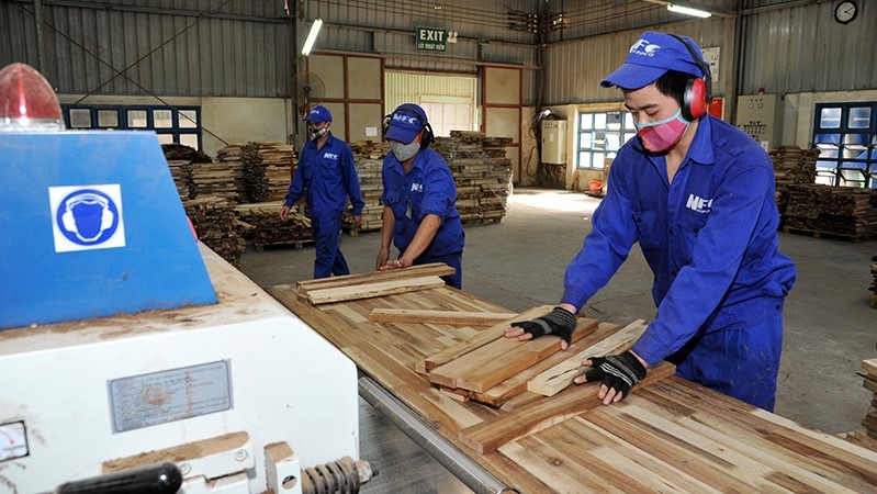 Better utilising opportunities of EU-Vietnam free trade agreement