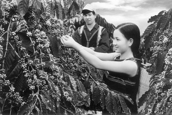 Bloomberg Global Coffee Supply Dealt Fresh Blow by Vietnam s Virus Curbs