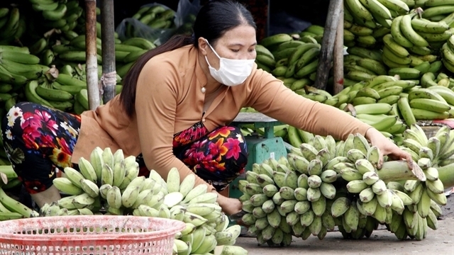 Ca Mau eyes annual growth of 8% in agricultural exports