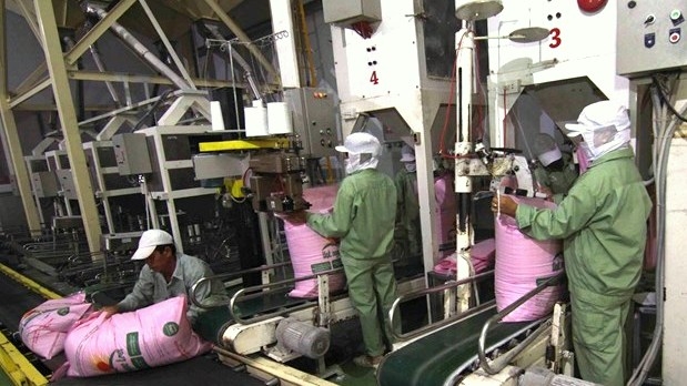 Rice exports hoped to recover after COVID-19 controlled: insiders