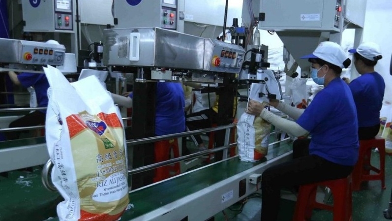 Urgent actions needed to promptly resolve difficulties facing Vietnamese rice exporters