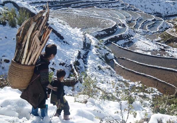Vietnam’s northern region forecasted to face severe cold weather quite early this winter