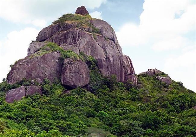 Mystery about a Champa tower which falls into oblivion